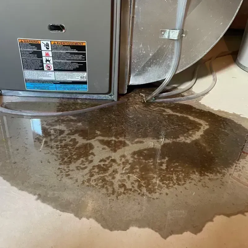 Appliance Leak Cleanup in Brewerton, NY